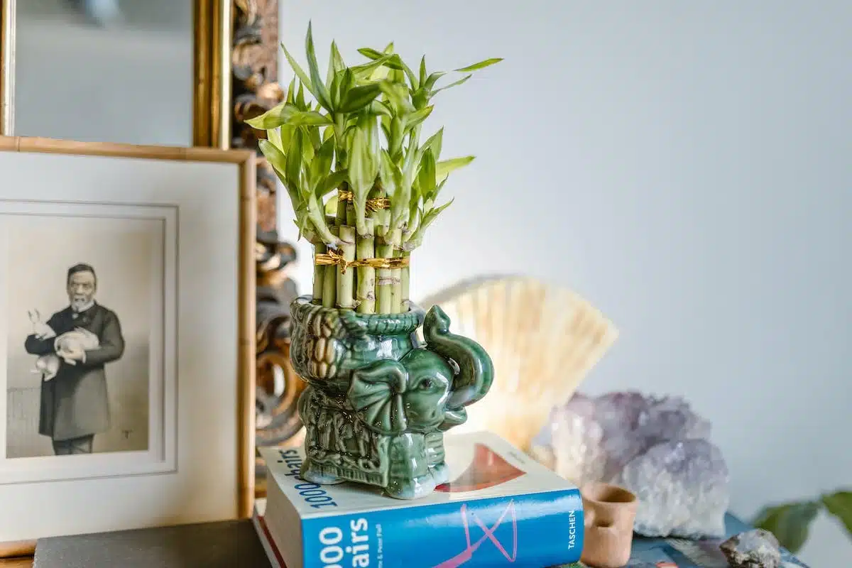 feng shui