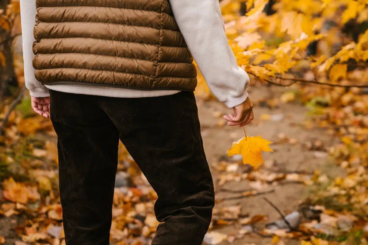 automne  vêtements