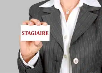 Des offres de stages disponibles en ligne