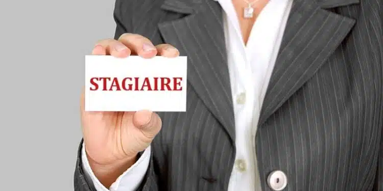 Des offres de stages disponibles en ligne