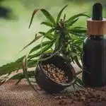 Pourquoi acheter des graines de CBD et CBG en ligne ?